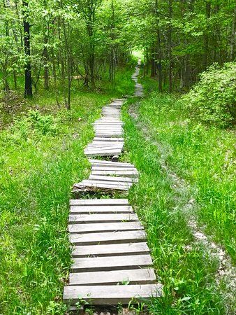 Binghamton University Nature Preserve